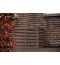 Evolar Evo-Cover Medium │ WPC - houtlook WALNUT